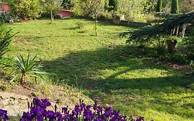 chambre d'hote de charme Villa les Iris proche centre ville